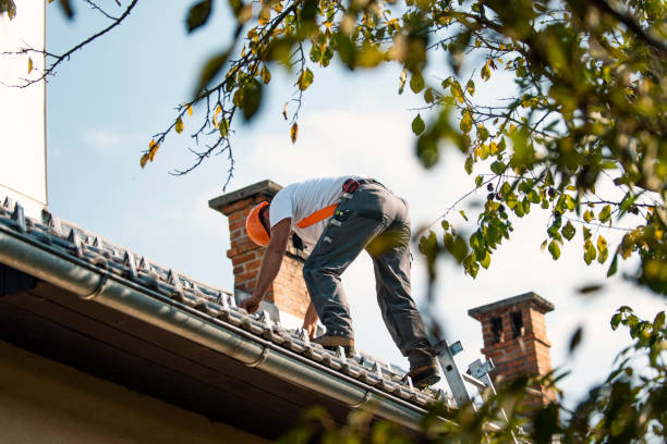 Best Flat Roof Repair Services  in Millport, AL