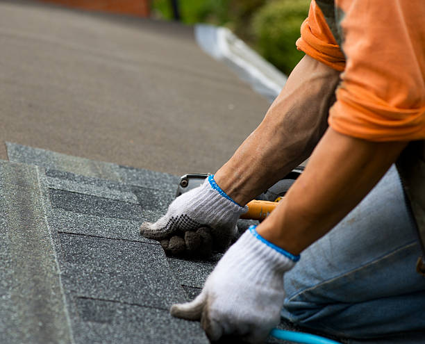 Best Storm Damage Roof Repair  in Millport, AL