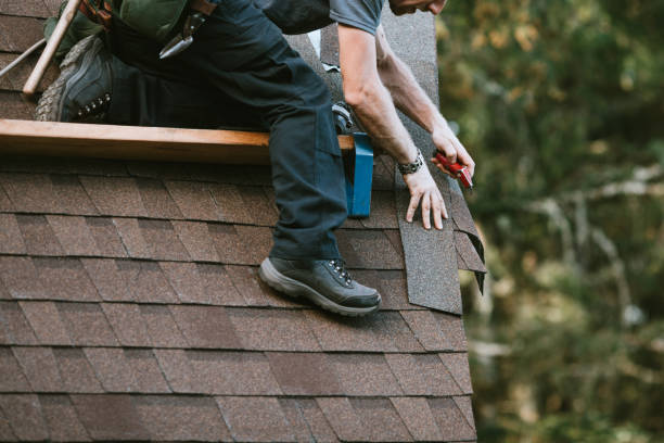 Best Shingle Roofing Installation  in Millport, AL